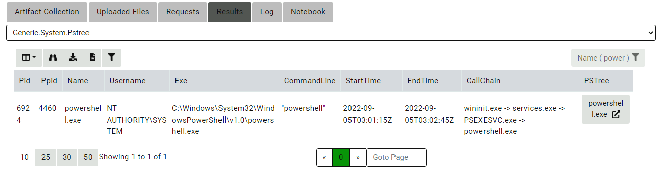 Inspecting the powershell process