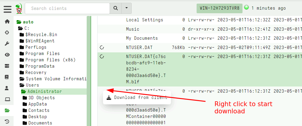 Initiating file download in the VFS. Note multiple files can be scheduled at the same time, and the bottom details pane can be closed